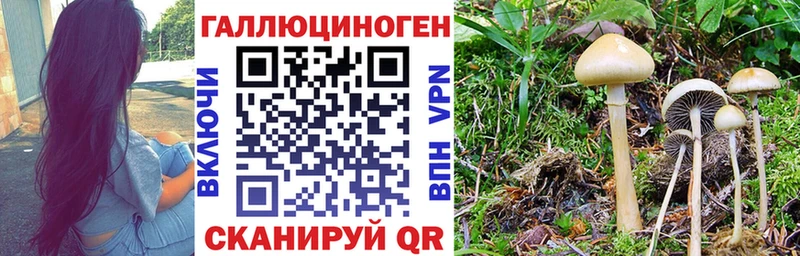 Галлюциногенные грибы GOLDEN TEACHER Ветлуга