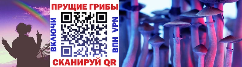 хочу   Ветлуга  Псилоцибиновые грибы Magic Shrooms 